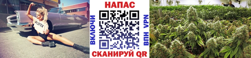 Бошки Шишки тримм  мориарти формула  Нижняя Тура  цена  